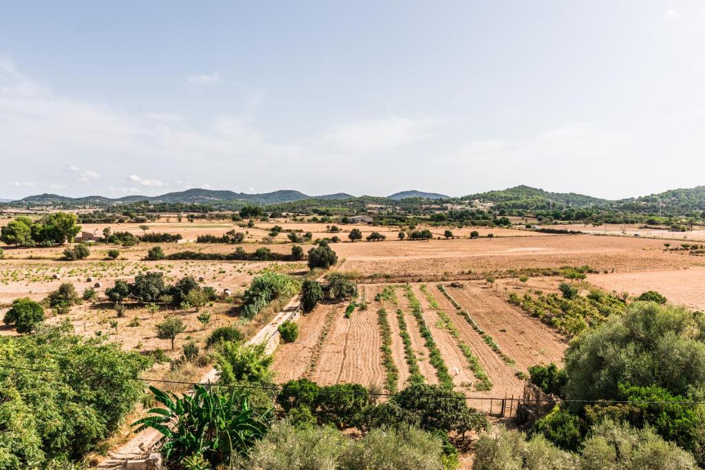 Fotografie z fotogalerie ubytování Finca Rural Son Amer v destinaci Manacor