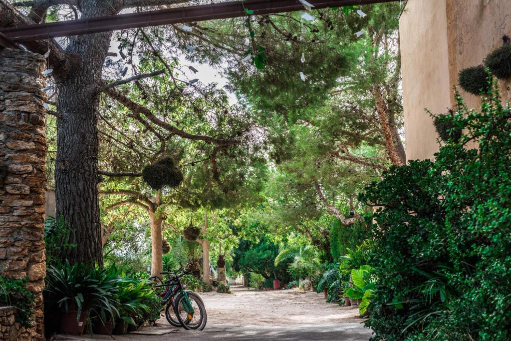 Fotografie z fotogalerie ubytování Finca Rural Son Amer v destinaci Manacor