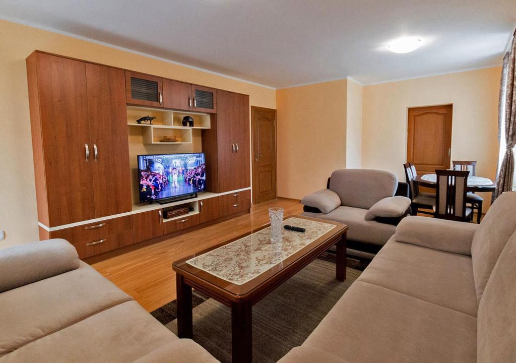 ein Wohnzimmer mit einem Sofa, einem TV und einem Tisch in der Unterkunft Apartments Nella in Kolašin