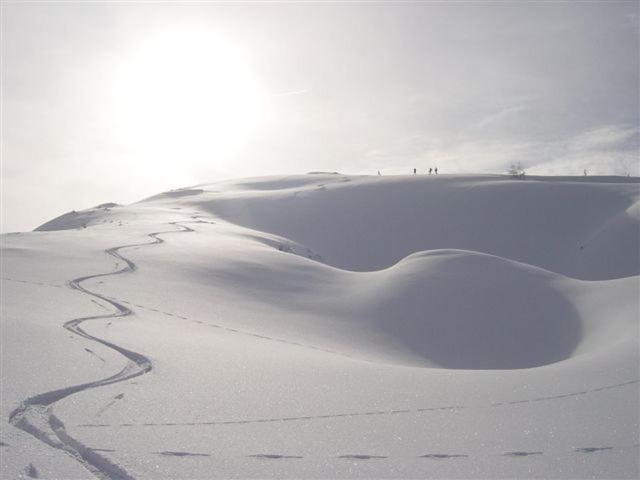 Ferienhaus Mendlingbauer during the winter