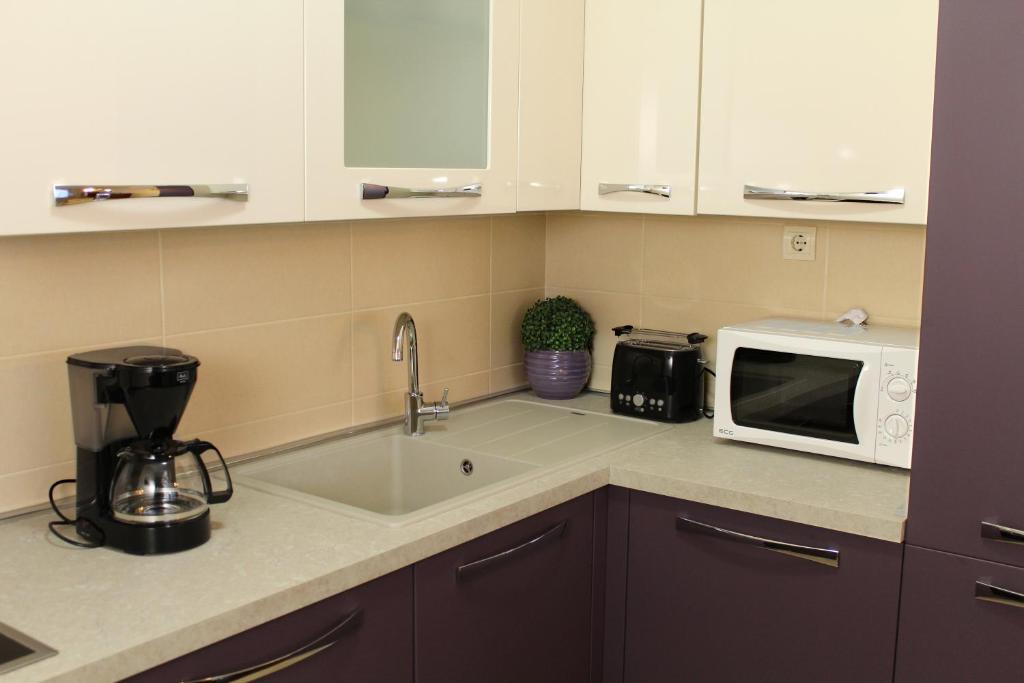 Kuchyň nebo kuchyňský kout v ubytování Apartment MEL II