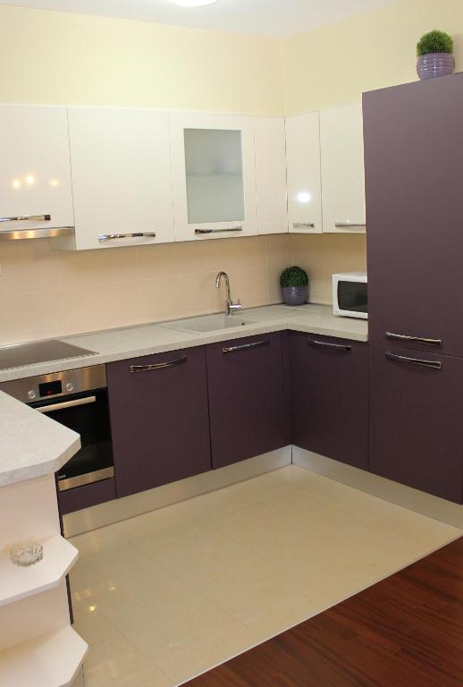 Kuchyň nebo kuchyňský kout v ubytování Apartment MEL II