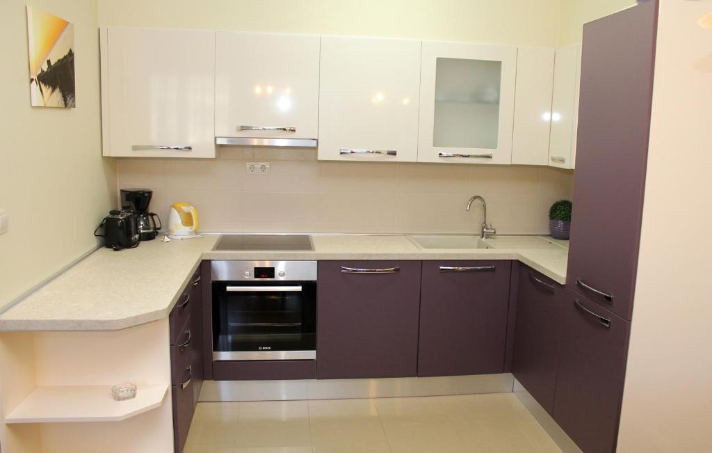 Kuchyň nebo kuchyňský kout v ubytování Apartment MEL II
