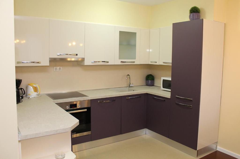 Kuchyň nebo kuchyňský kout v ubytování Apartment MEL II