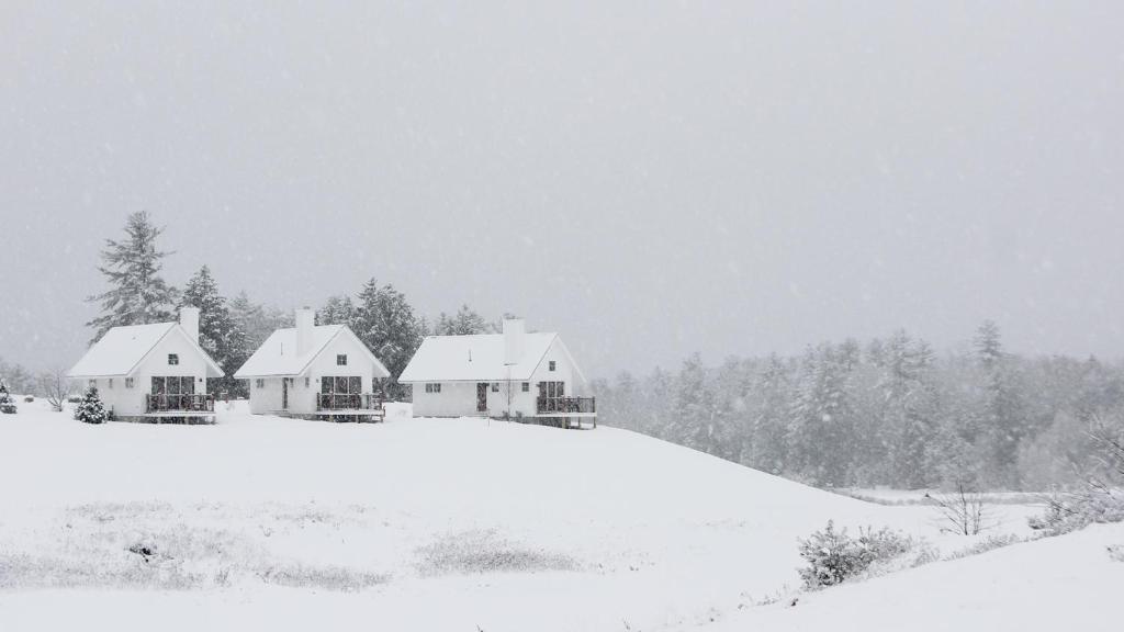 Owl's Nest Resort - One-Bedroom House