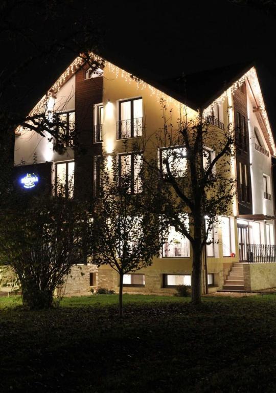 a building at night with a tree in front of it at Stupina in Braşov