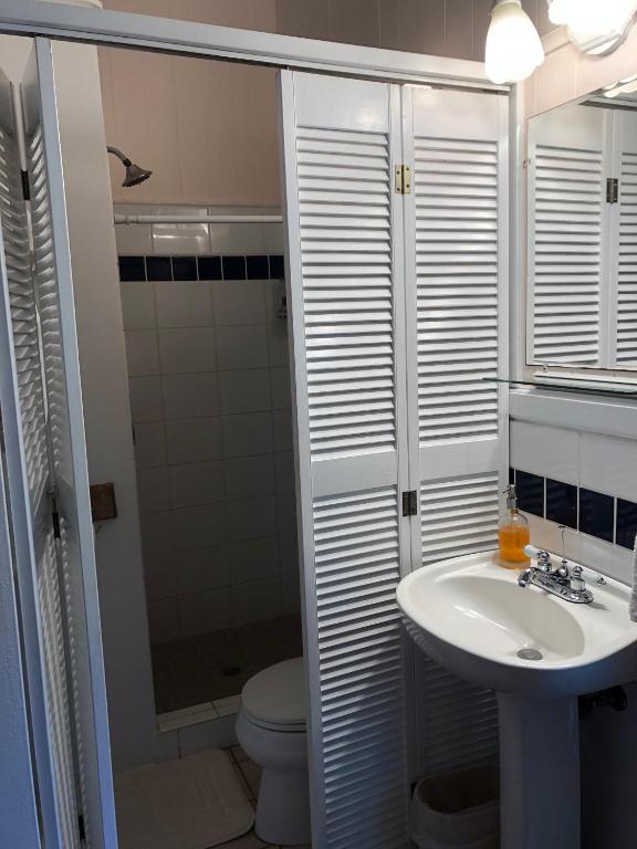 a bathroom with a sink and a toilet and a shower at Old Hawaiian Bed and Breakfast in Hilo