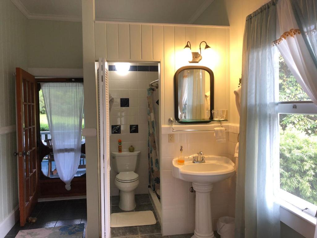 a bathroom with a sink and a toilet and a mirror at Old Hawaiian Bed and Breakfast in Hilo