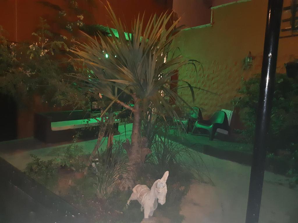 Zahrada ubytování Casa rural el Burro