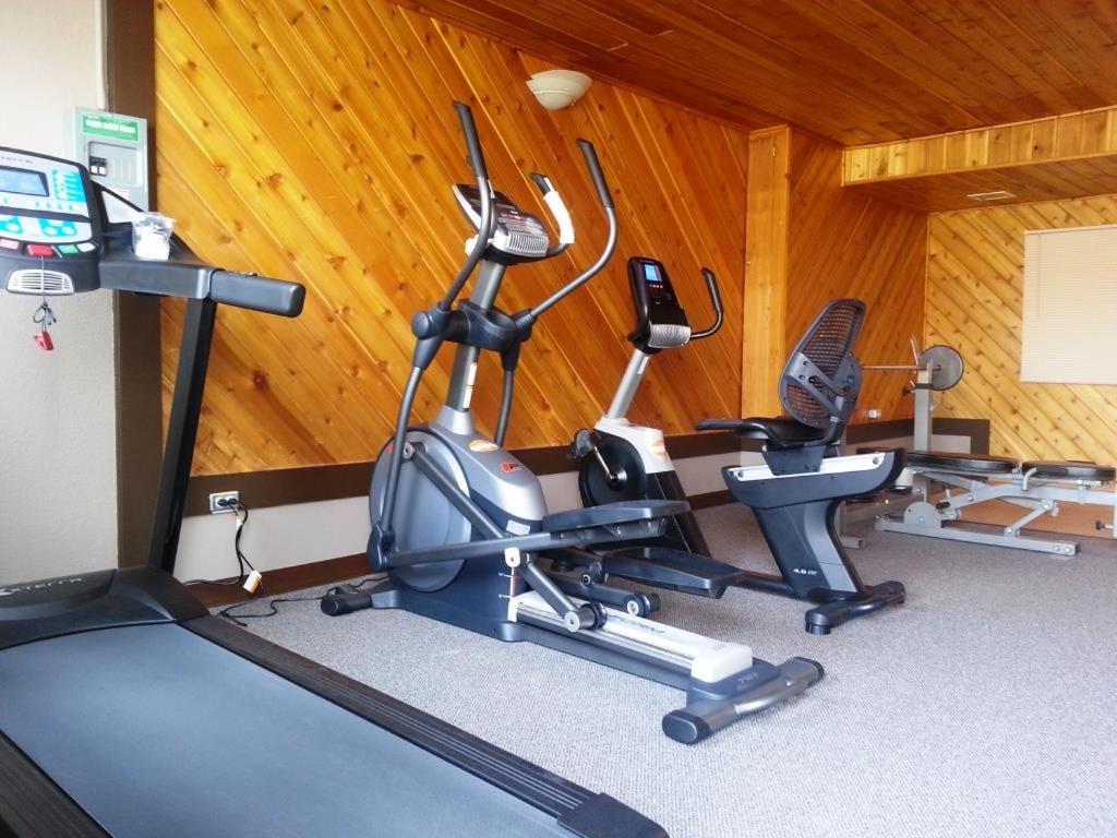 Fitness centrum a/nebo fitness zařízení v ubytování Best Seven Inn