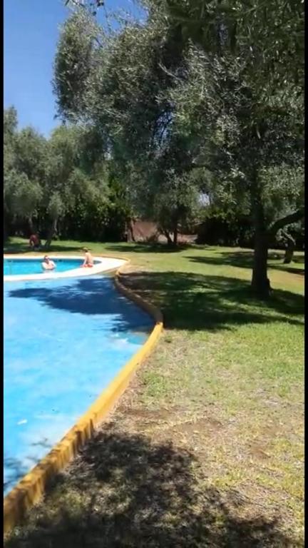 Bazén v ubytování Casa Sevilla nebo v jeho okolí