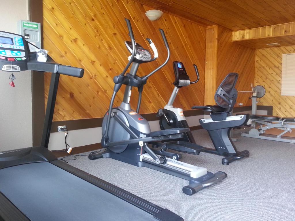 Fitness centrum a/nebo fitness zařízení v ubytování Best Seven Inn