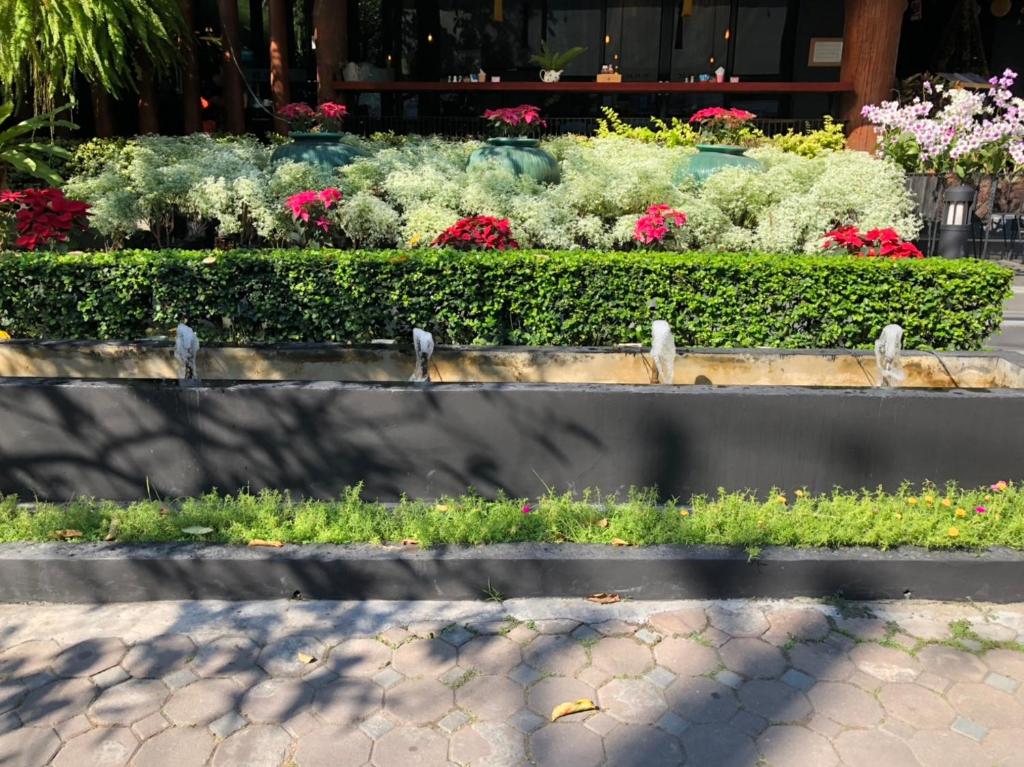 Le Naview @Prasingh - Resim 40