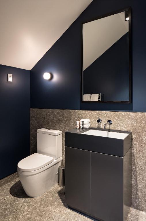 a bathroom with a toilet and a sink and a mirror at The Chamberson in Dunedin