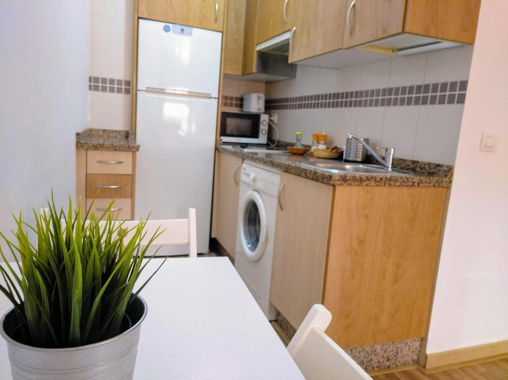 Kuchnia lub aneks kuchenny w obiekcie Apartamento Domingo Lozano