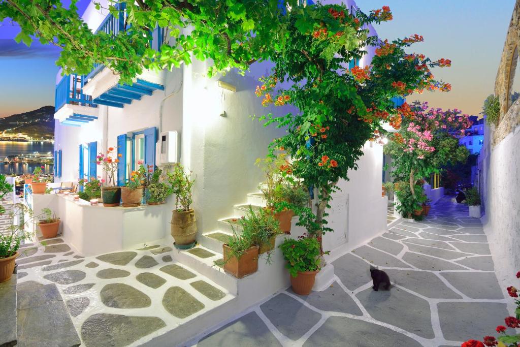 O grădină în afara Hotel Nazos