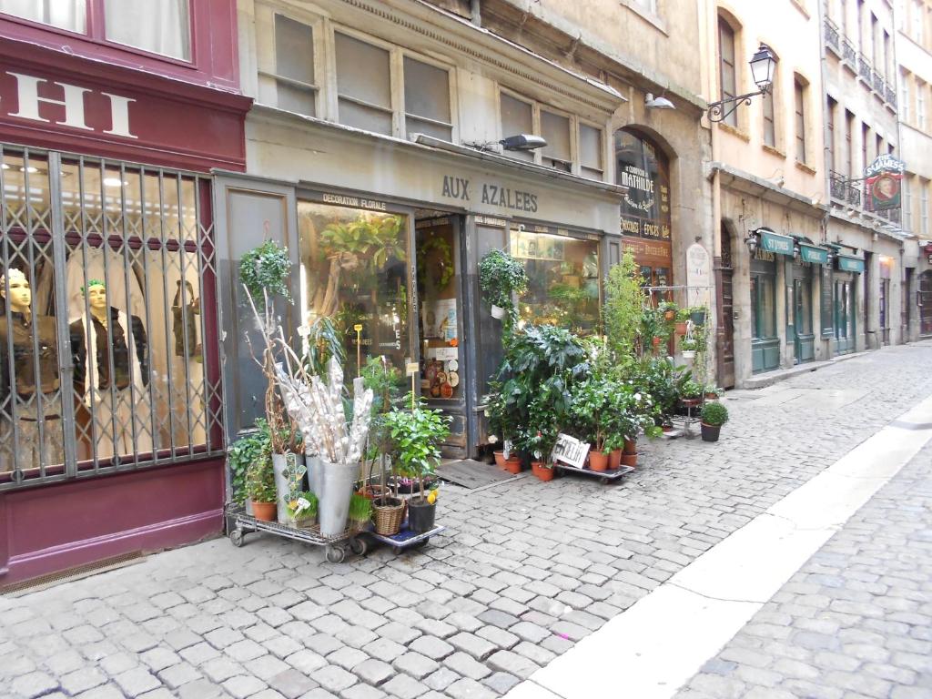 een winkel met potplanten in een stadsstraat bij Gîte du Vieux Lyon in Lyon