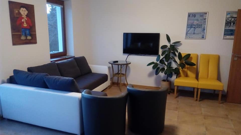 TV a/nebo společenská místnost v ubytování Rekreace Zelba