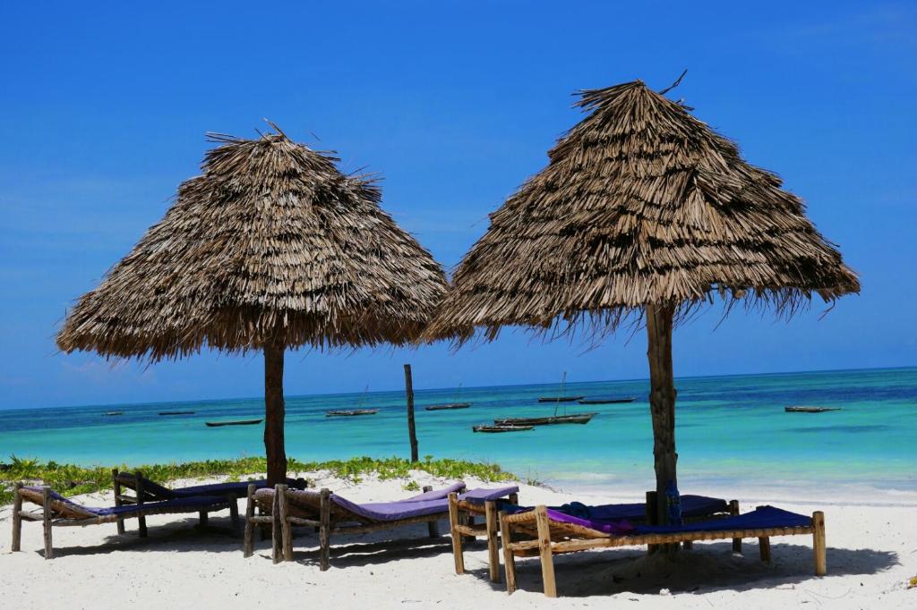 two umbrellas and chairs on a beach with the ocean at Blue Earth Beach Bungalow in Jambiani