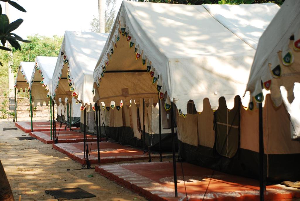 une rangée de tentes alignées l'une à côté de l'autre dans l'établissement Nature Camp Konark Retreat, à Konârak
