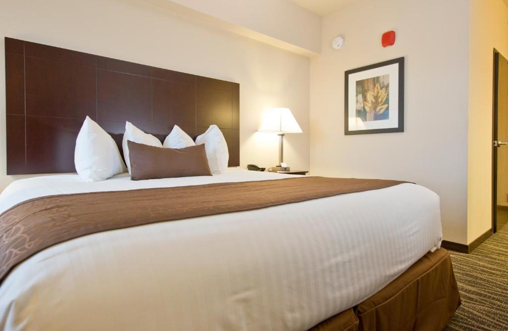 Cobblestone Inn & Suites - Boone - 