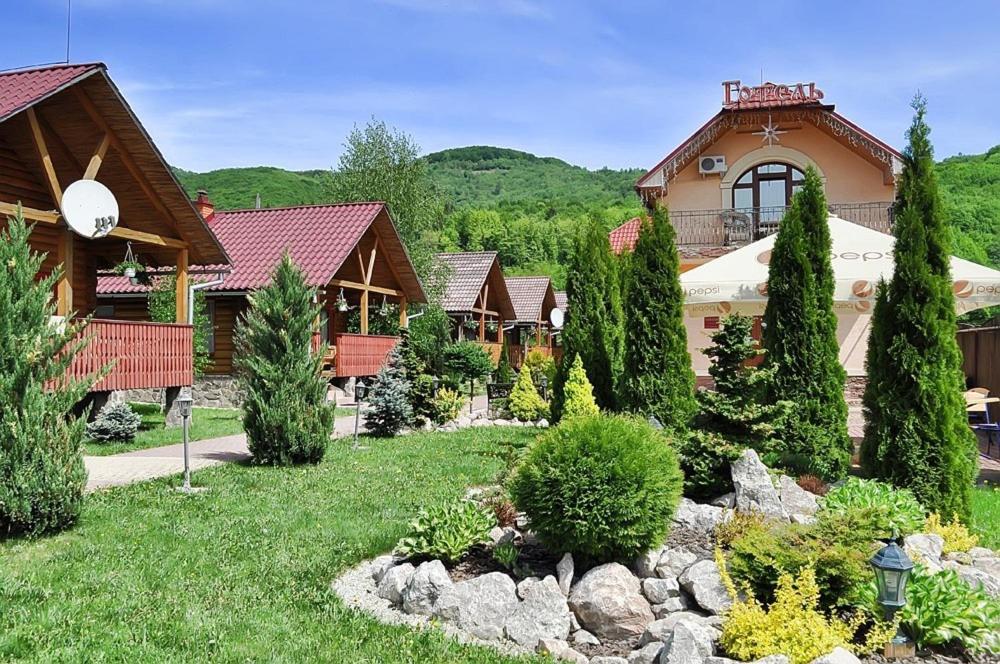 a house with a yard with bushes and trees at База відпочинку ЕЛЬДОРАДО in Solochyn