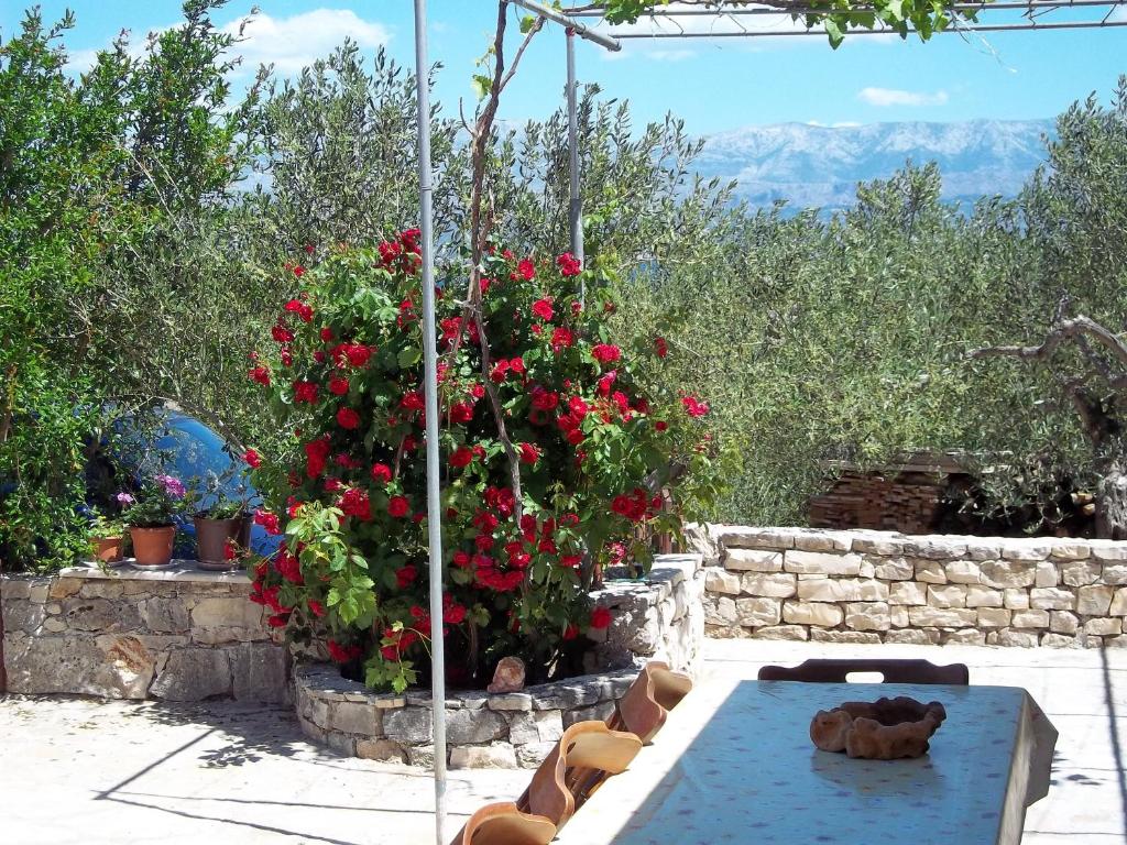 d'une terrasse ornée de fleurs rouges et d'une table avec un mur en pierre. dans l'établissement Holiday Home Ruža, à Mirce