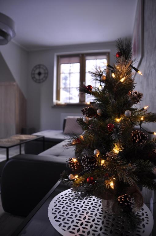 Posedenie v ubytovaní Apartament Lesne Wzgorze