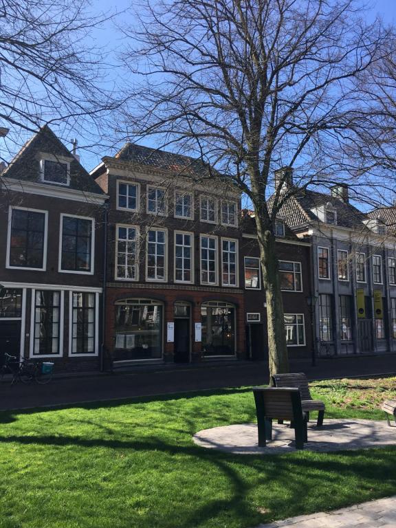 un banco frente a un edificio con un árbol en De Theetap en Zierikzee