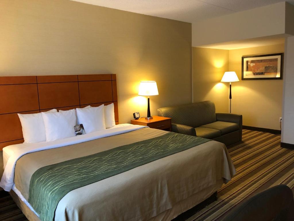 Comfort Inn Metro Airport - Deluxe King Room Con Cama Con Sofá - No Fumadores