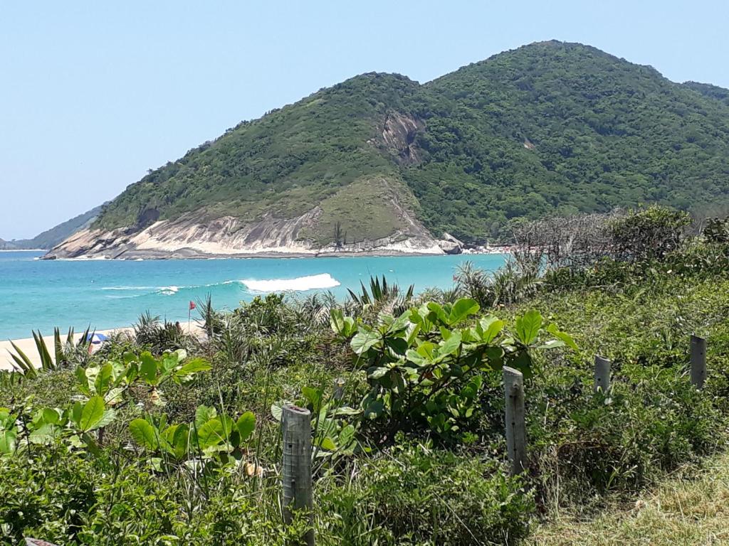  Floresta Tropical