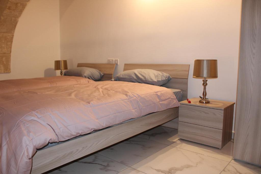 Palazzo Leonardo - 17