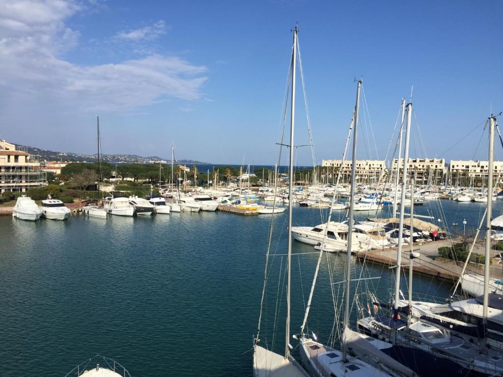 Un tas de bateaux sont amarrés dans un port de plaisance dans l'établissement Marines de Cogolin, à Cogolin