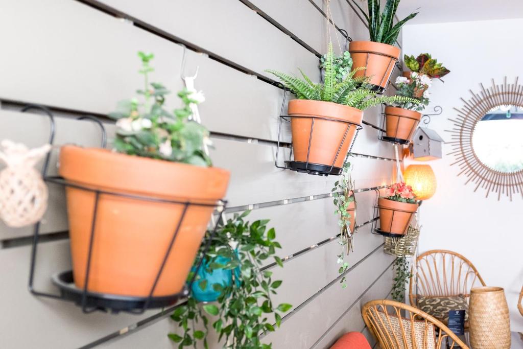 Hôtel Central - Resim 37