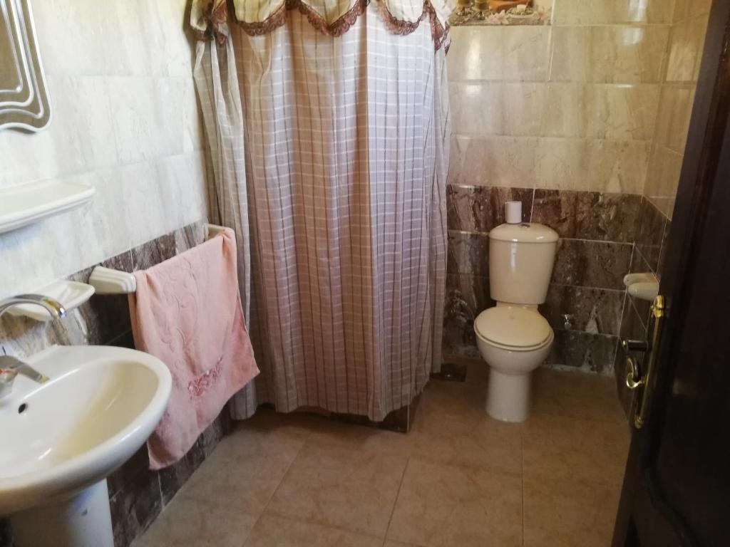 a bathroom with a toilet a sink and a shower at Happy Days Pyramids View in Cairo