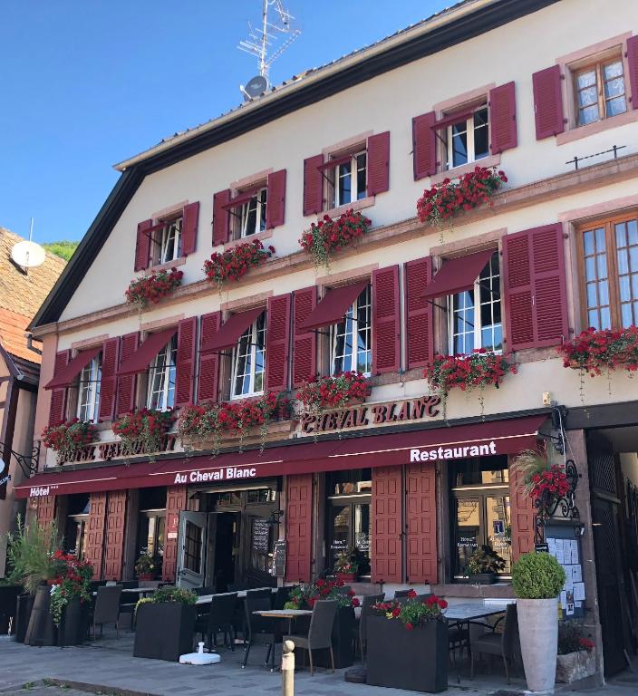 Hôtel SPA Au Cheval Blanc - Chambres climatisées – photo 47
