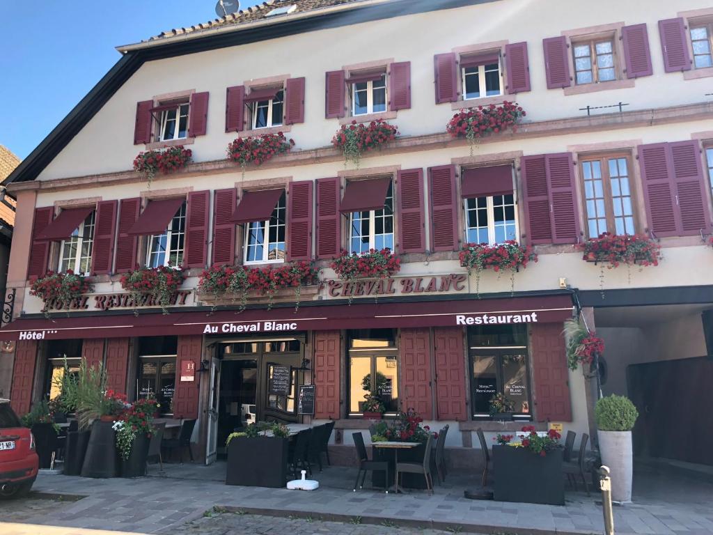 Hôtel SPA Au Cheval Blanc - Chambres climatisées – photo 39