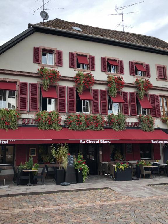 Hôtel SPA Au Cheval Blanc - Chambres climatisées – photo 40