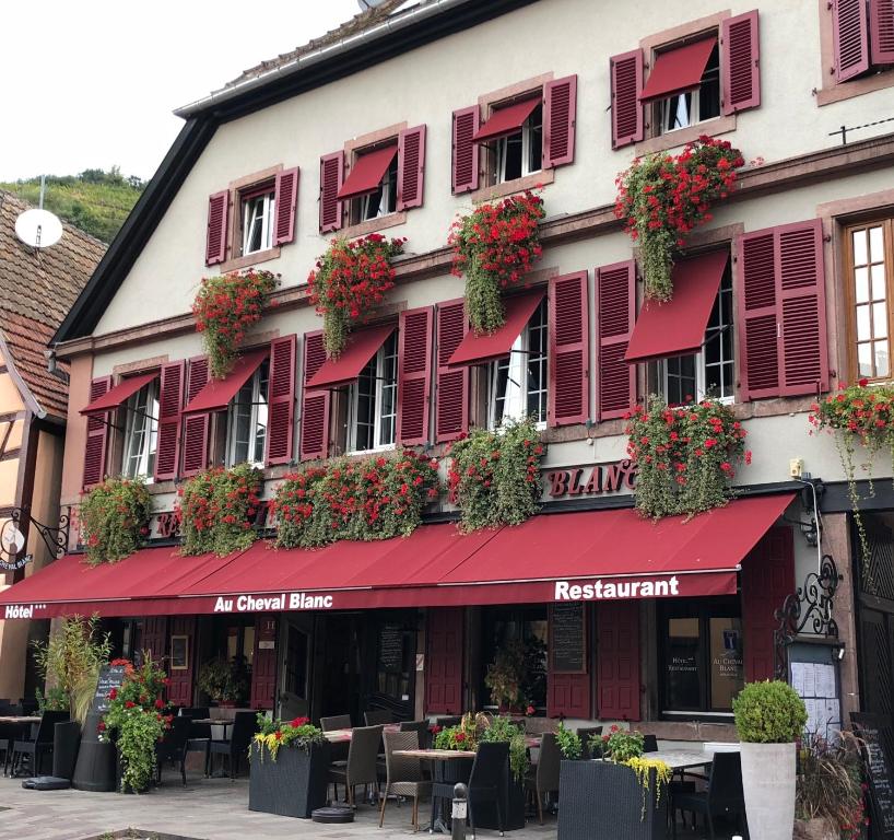 Hôtel SPA Au Cheval Blanc - Chambres climatisées – photo 7