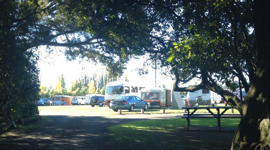 un grupo de camionetas estacionadas en un parque con una mesa de picnic en Greytown Campground, en Greytown