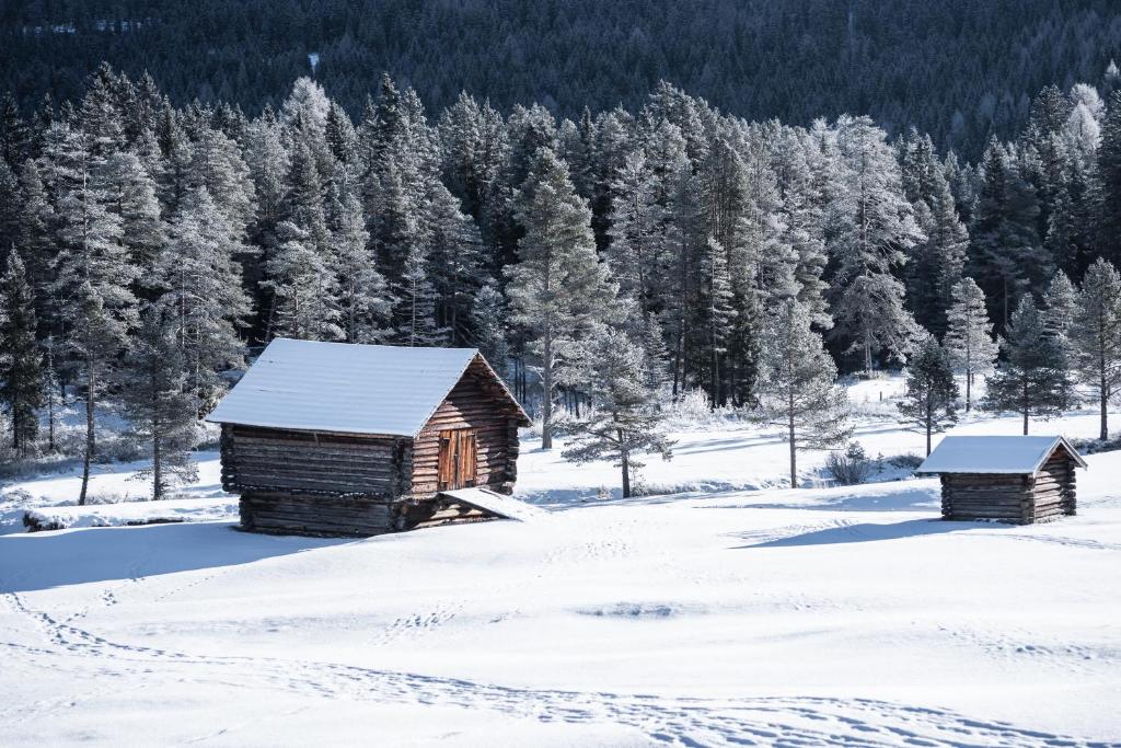 Les Pizades during the winter