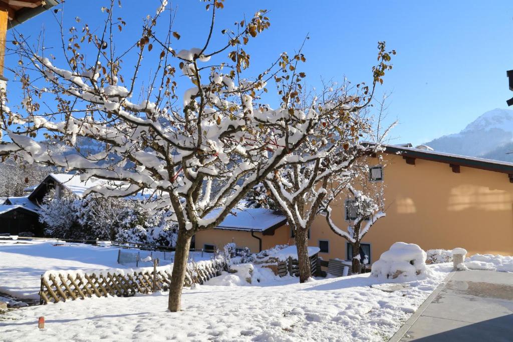 Appartement Ilvy v zime