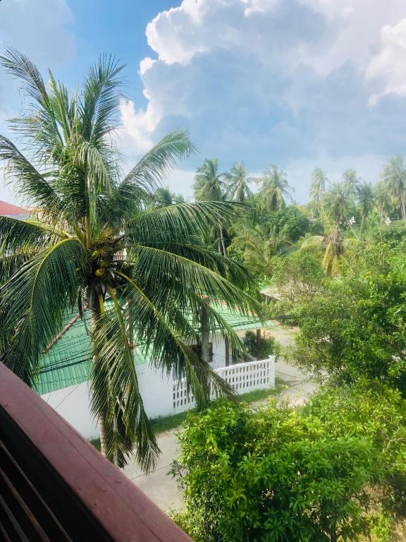 Zahrada ubytování Sleep inn Samui