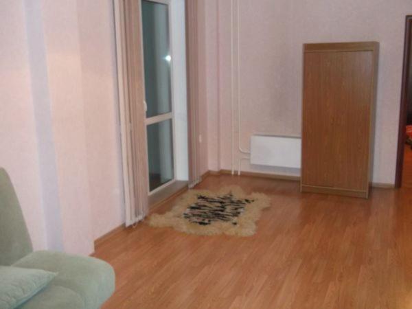 ノヴォシビルスクにある1к Семьи Шамшиных 24のリビングルーム(ソファ、窓付)