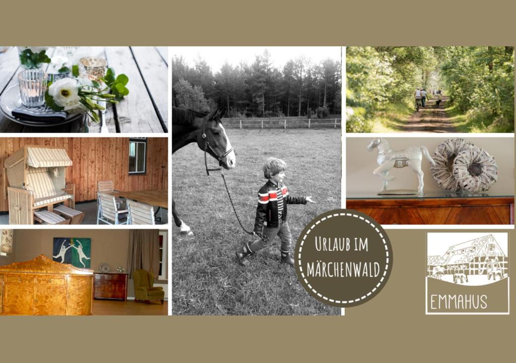 Fotografie z fotogalerie ubytování Emmahus v destinaci Fürstenau
