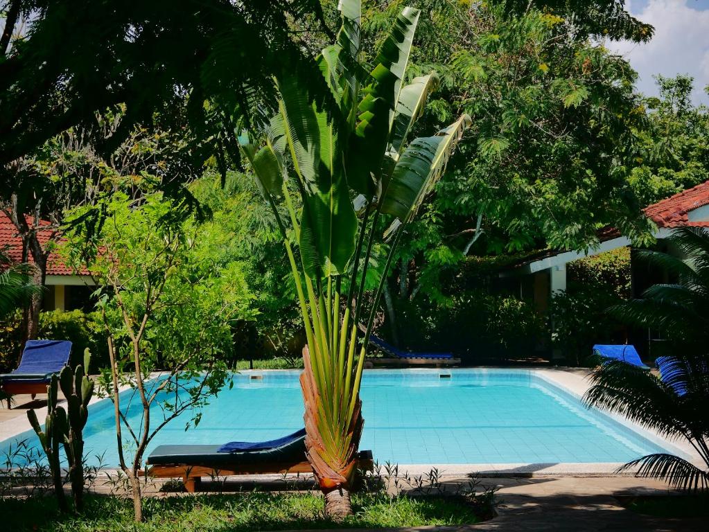 Bazén v ubytování Diani Cottages nebo v jeho okolí