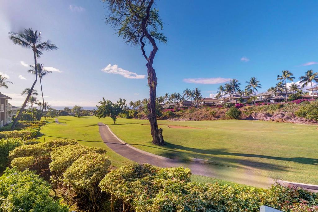 uma árvore num campo de golfe com palmeiras em Wailea Grand Champions em Wailea