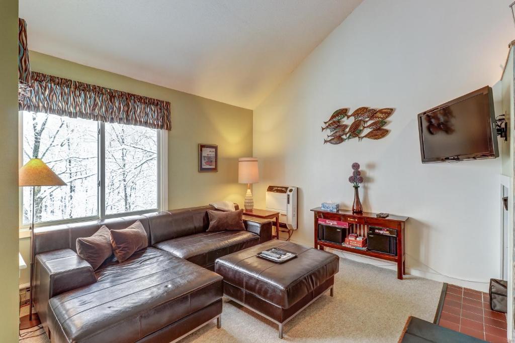 a living room with a leather couch and a tv at Sugar Run: 25 in Sugarbush Village