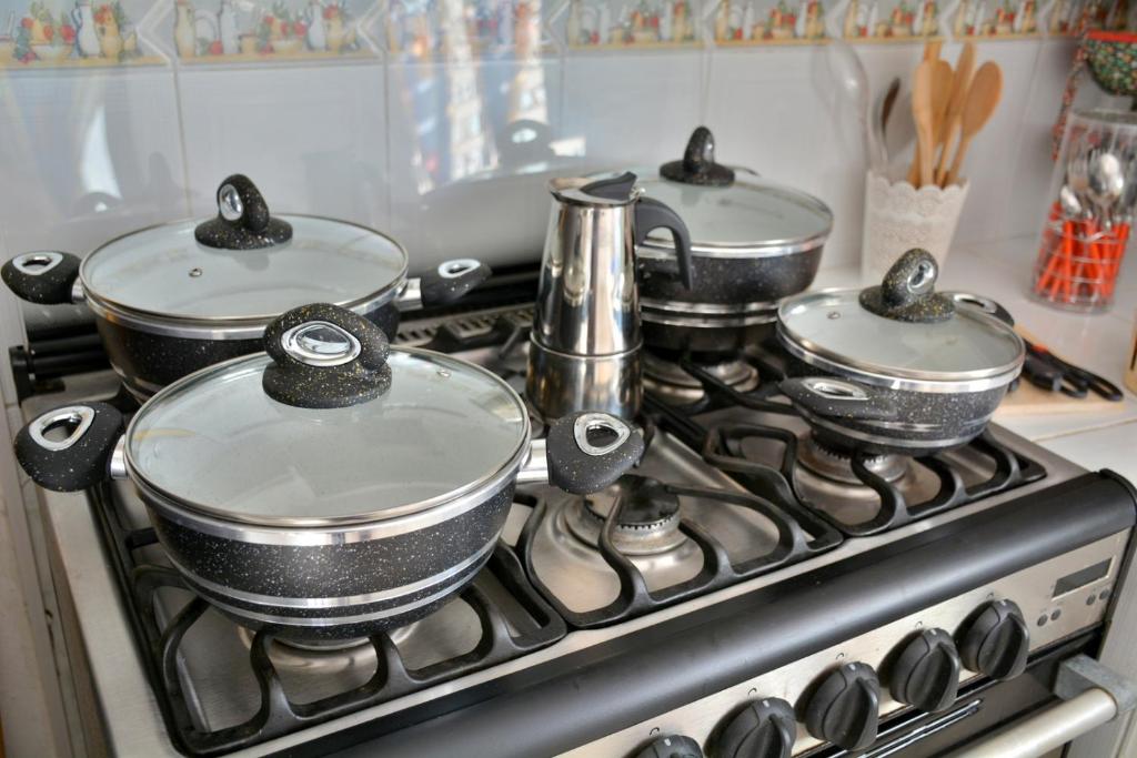 Kuchyň nebo kuchyňský kout v ubytování Villa Alégria