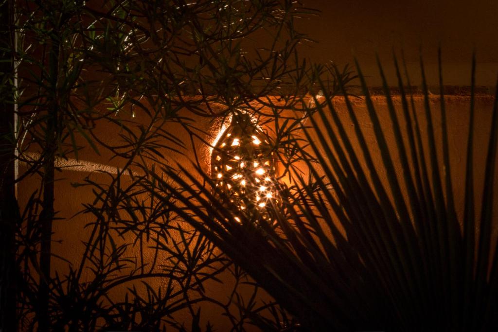 Fotografie z fotogalerie ubytování Riad El Maktoub v Marrákéši